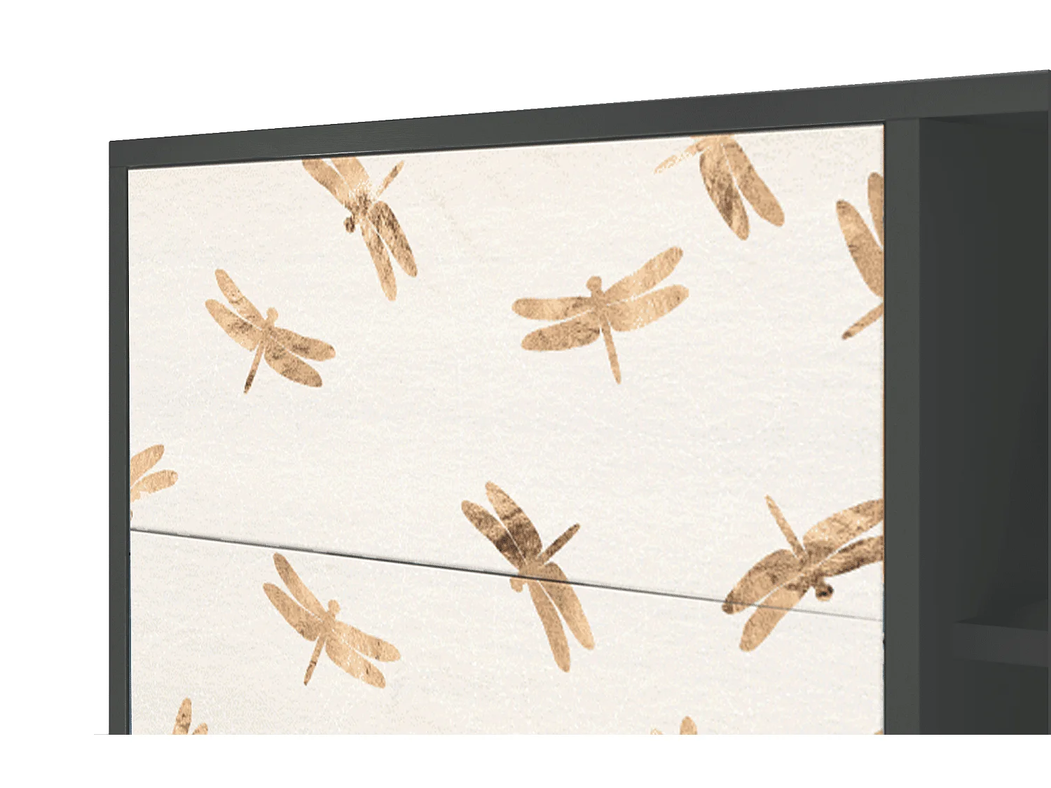 Kredens - 125x98x48 cm - BS2 - Nude Dragonflies, Antracyt