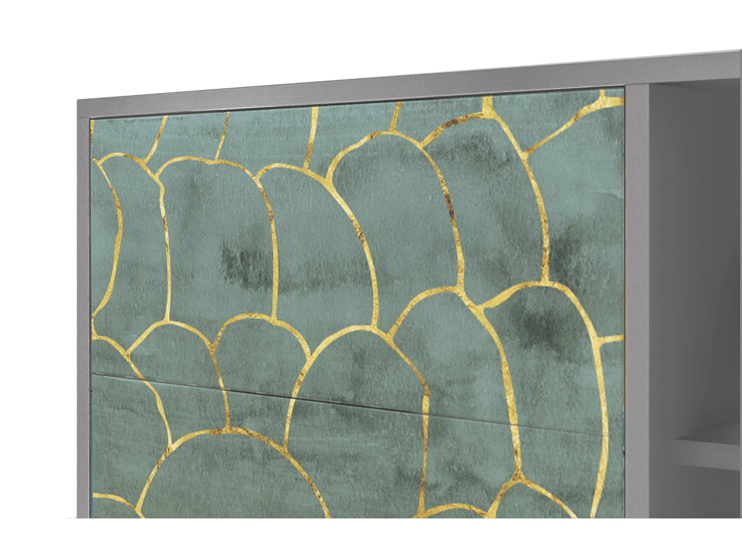 Kredens - 125x98x48 cm - BS2 - Magnificent Water Lily, Szary