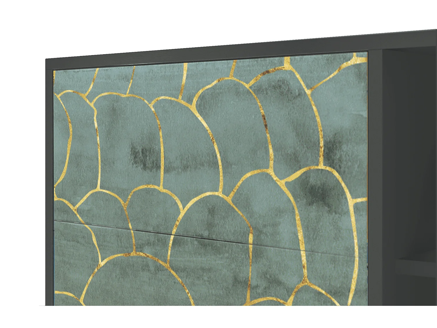 Kredens - 125x98x48 cm - BS2 - Magnificent Water Lily, Antracyt