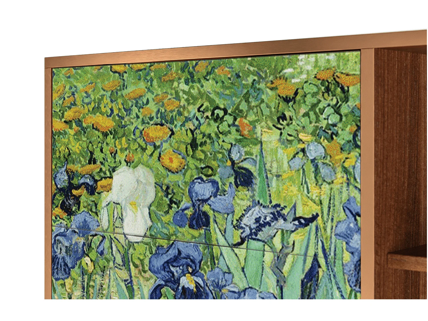 Kredens - 125x98x48 cm - BS2 - Irises , Orzech