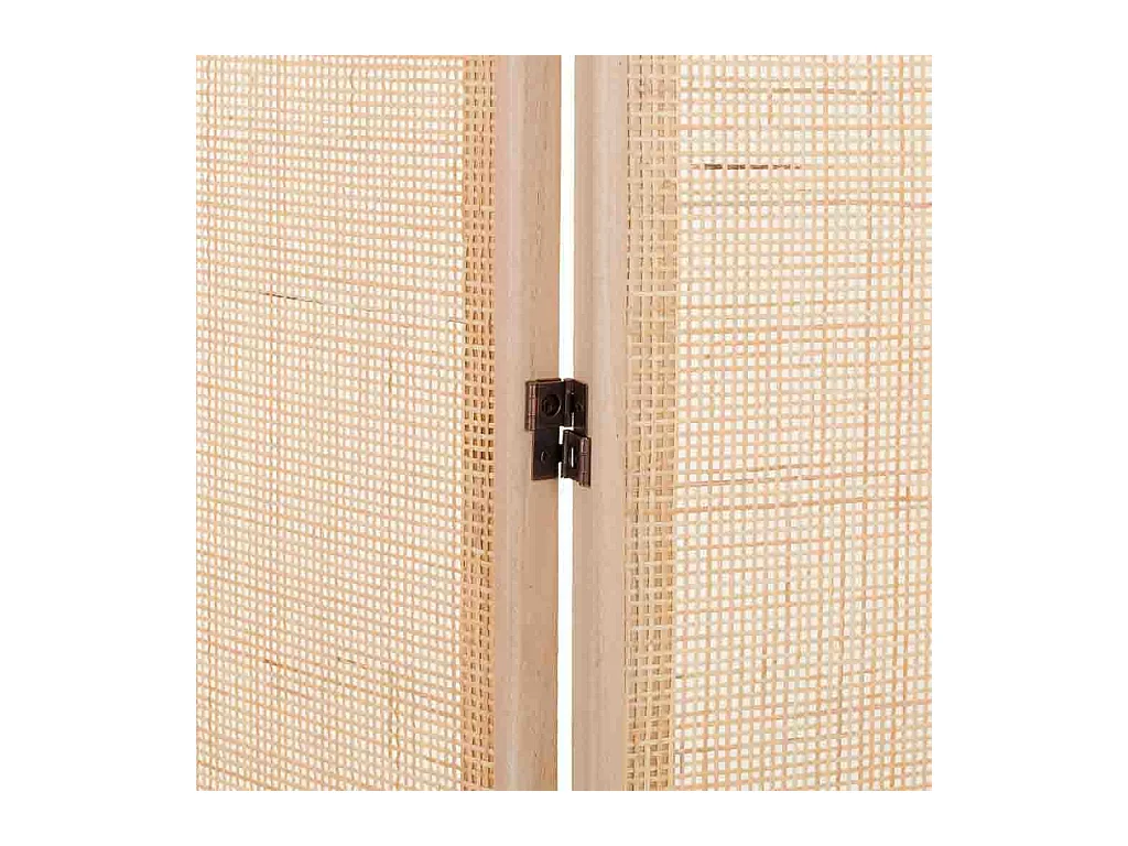 Biombo de madera y rejilla marrón (40x3)x2.5x200