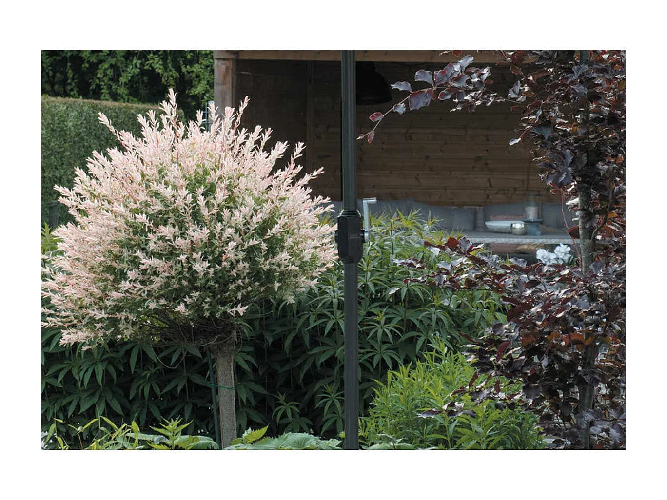 Garden Impressions Lotus Parasol 250x250 - ECRU