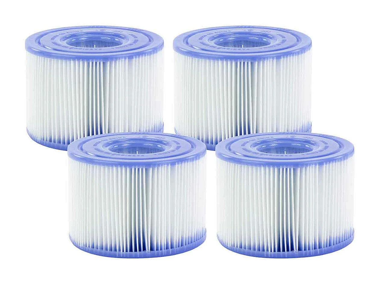 Cartouche du filtre Intex S1