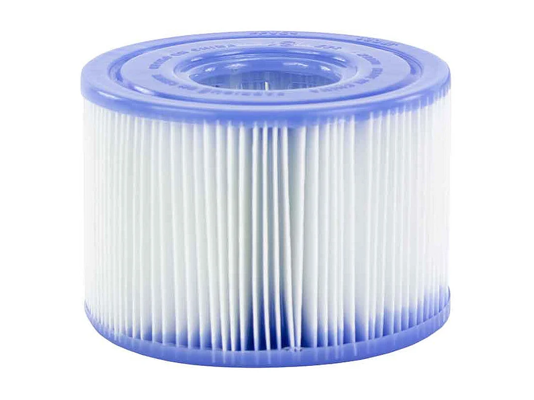 Cartouche du filtre Intex S1