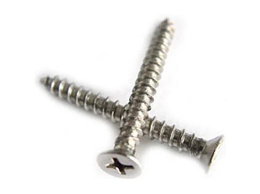 Platinum schroeven 20x - RVS