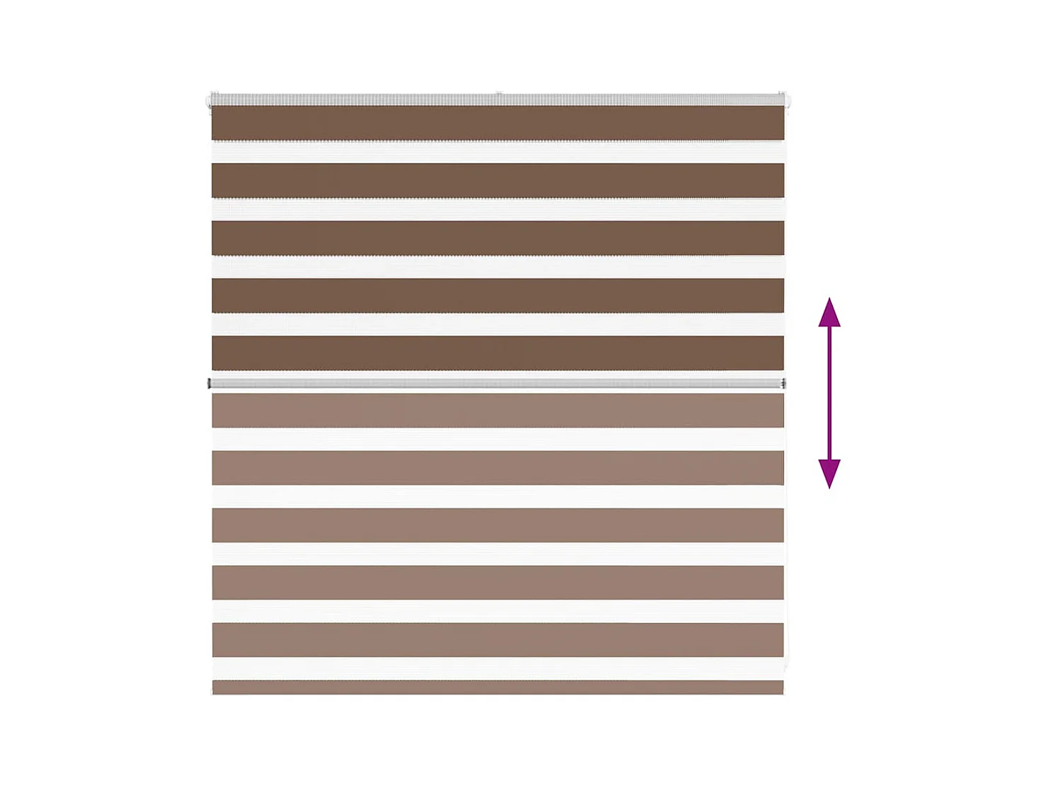 Store zèbre marron 140x100cm largeur du tissu 135,9cm polyester