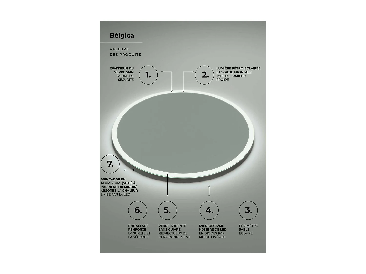 Miroir Salle de Bain BELGICA - Ø100cm - Led Rétro-éclairé & Diffusion Frontal (6500K) - LEDIMEX