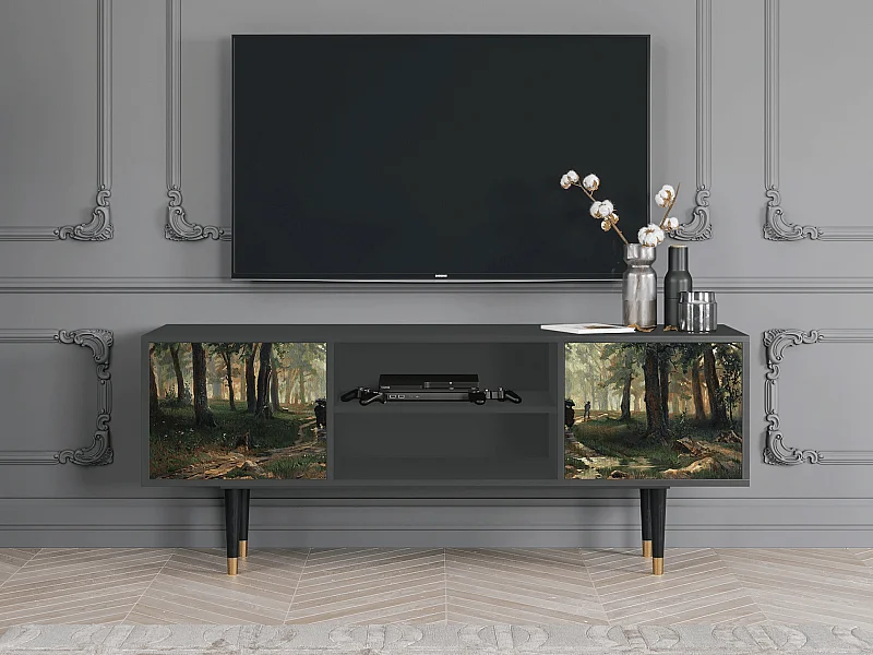 TV-Möbel - 170х69х48 cm - T2 -  Rain in the Oak Forest, Anthrazit