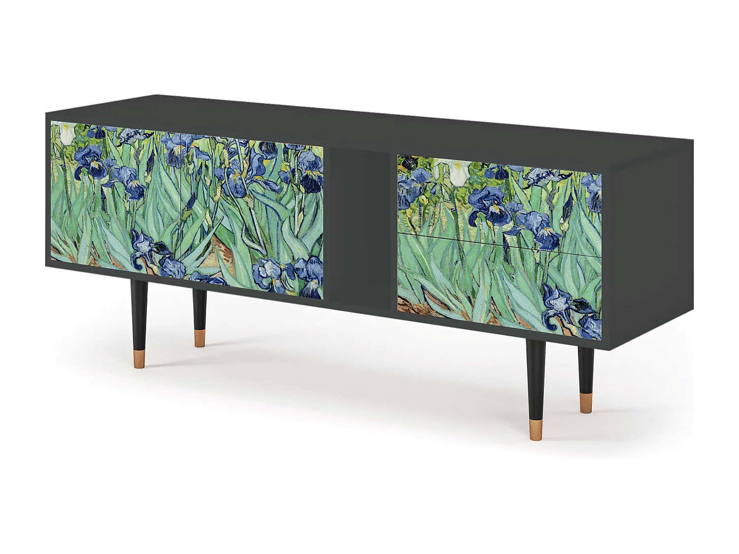 Szafka RTV - 170х69х48 cm - T1 - Irises , Antracyt