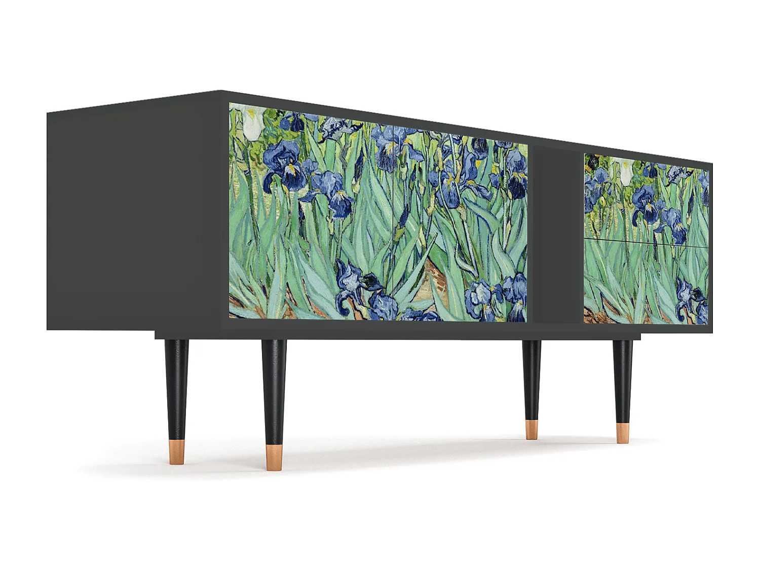 Szafka RTV - 170х69х48 cm - T1 - Irises , Antracyt