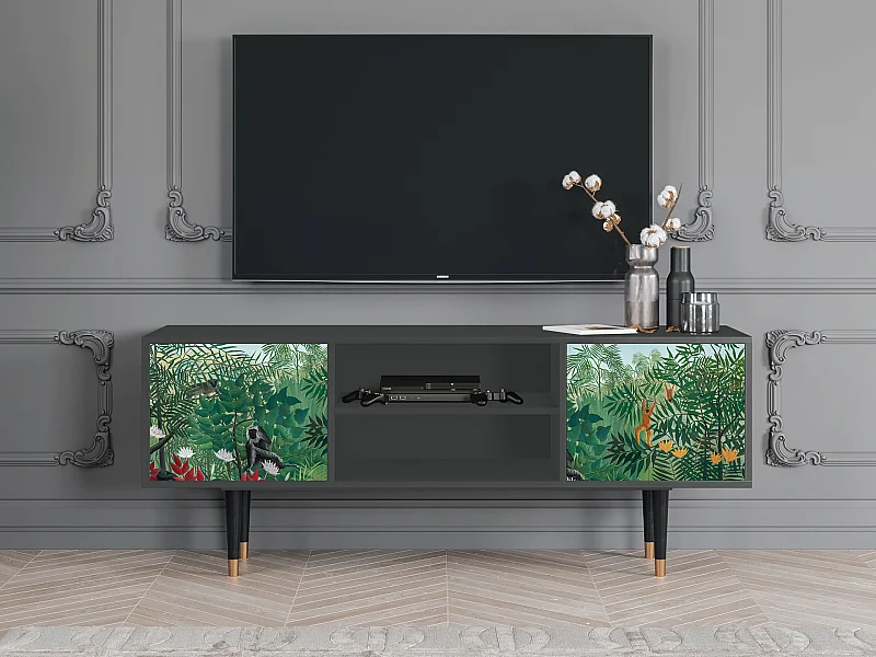 Mobile TV - 170х69х48 cm - T2 - Jungles in Paris, Antracite