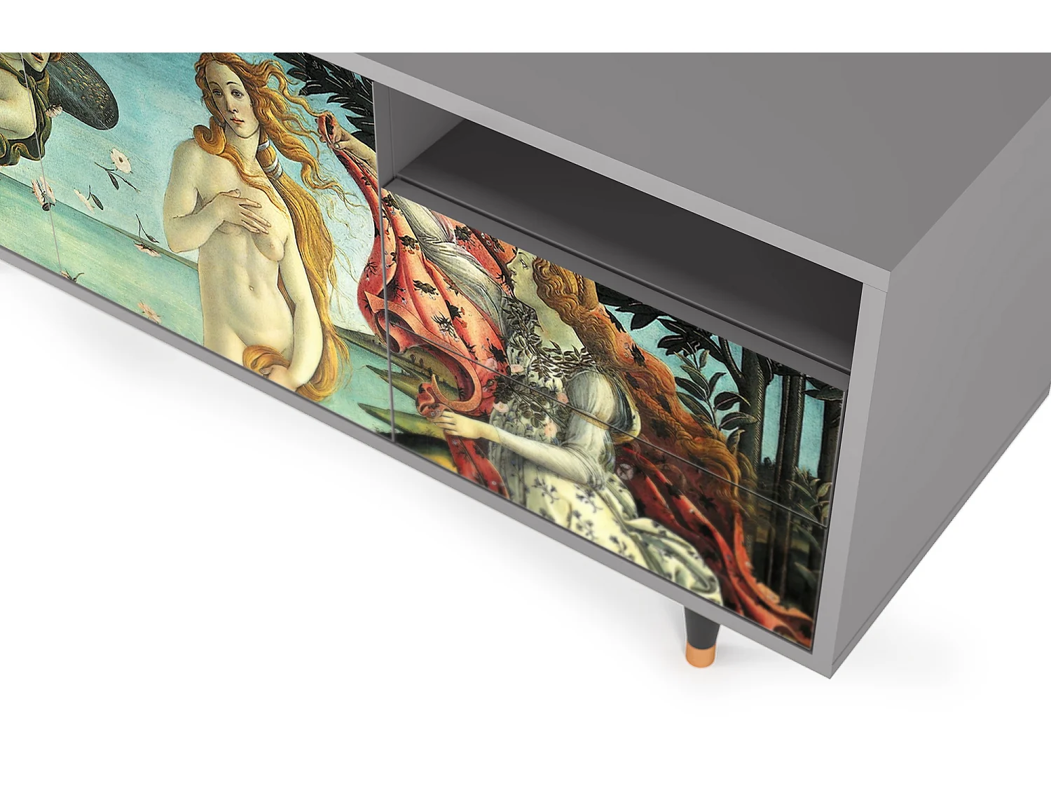Meuble TV - 125х56х41 cm - T7 - The Birth of Venus, Gris