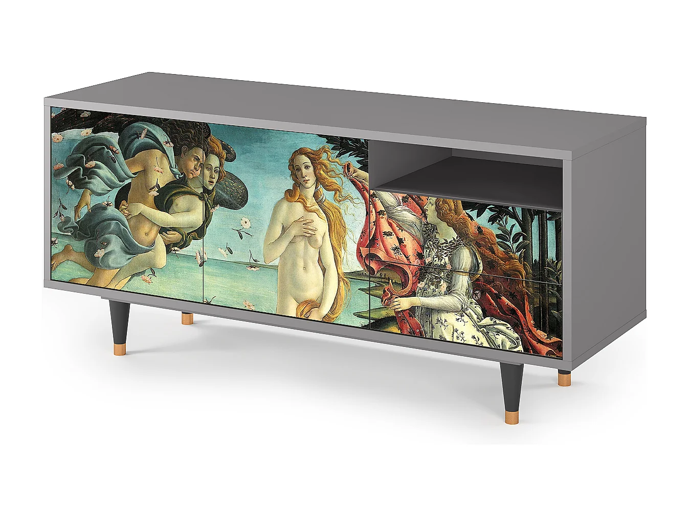 Szafka RTV - 125х56х41 cm - T7 - The Birth of Venus, Szary