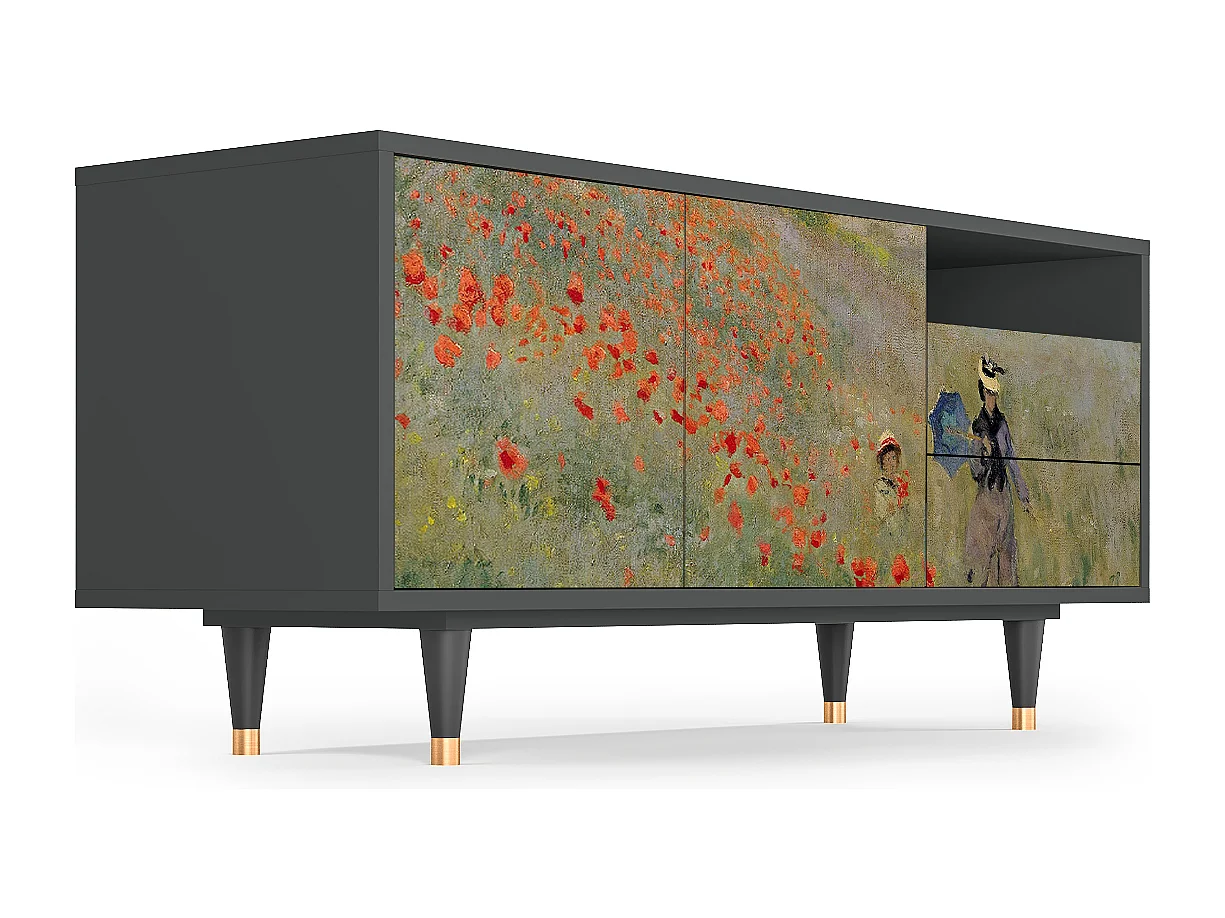 Mueble de TV - 125х56х41 cm - T7 - The Poppy Field   , Antracite
