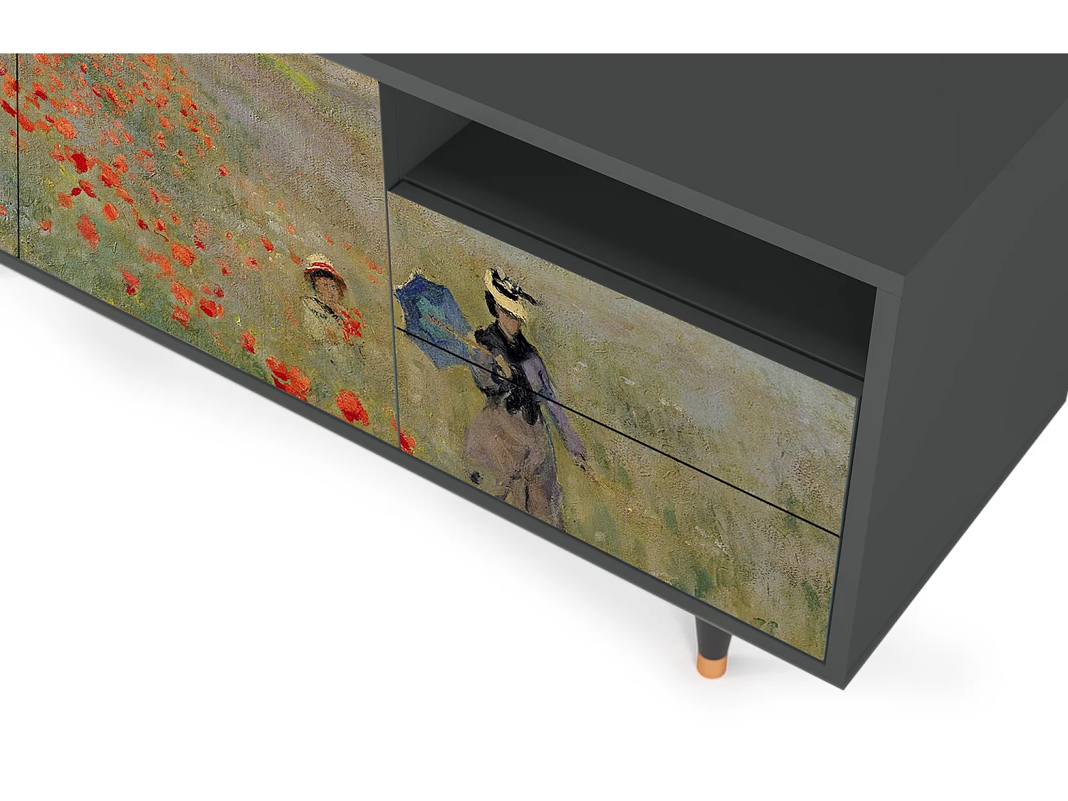 Mueble de TV - 125х56х41 cm - T7 - The Poppy Field   , Antracite