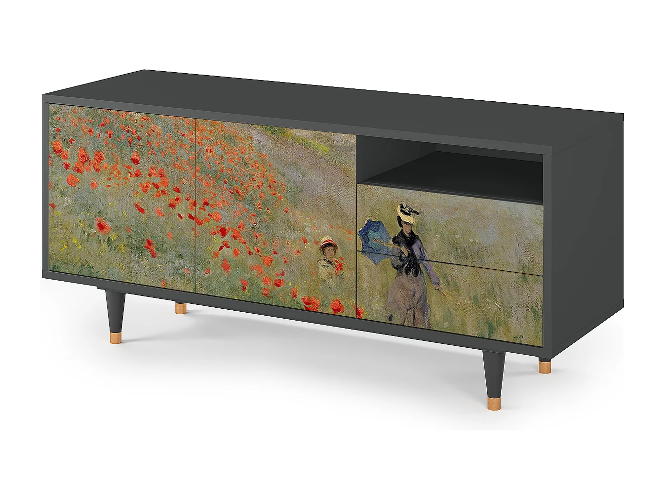 Meuble TV - 125х56х41 cm - T7 - The Poppy Field   , Anthracite