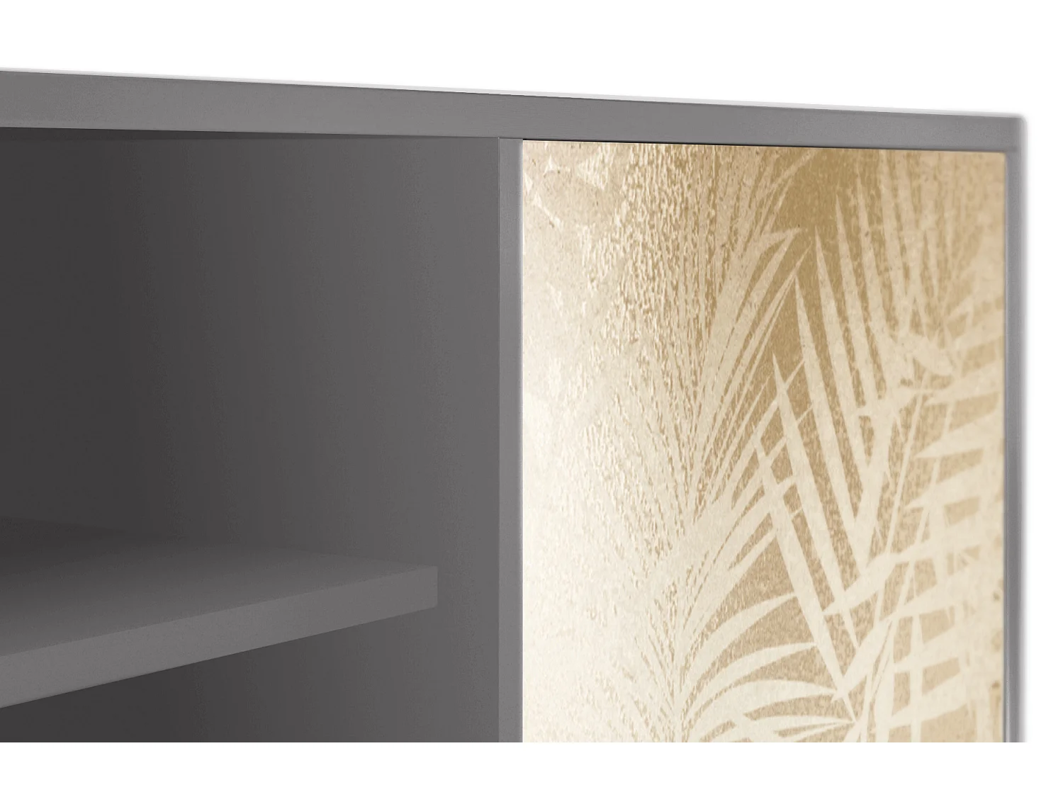 Mobile TV - 170х69х48 cm - T2 - Plant of the Dessert, Grigio