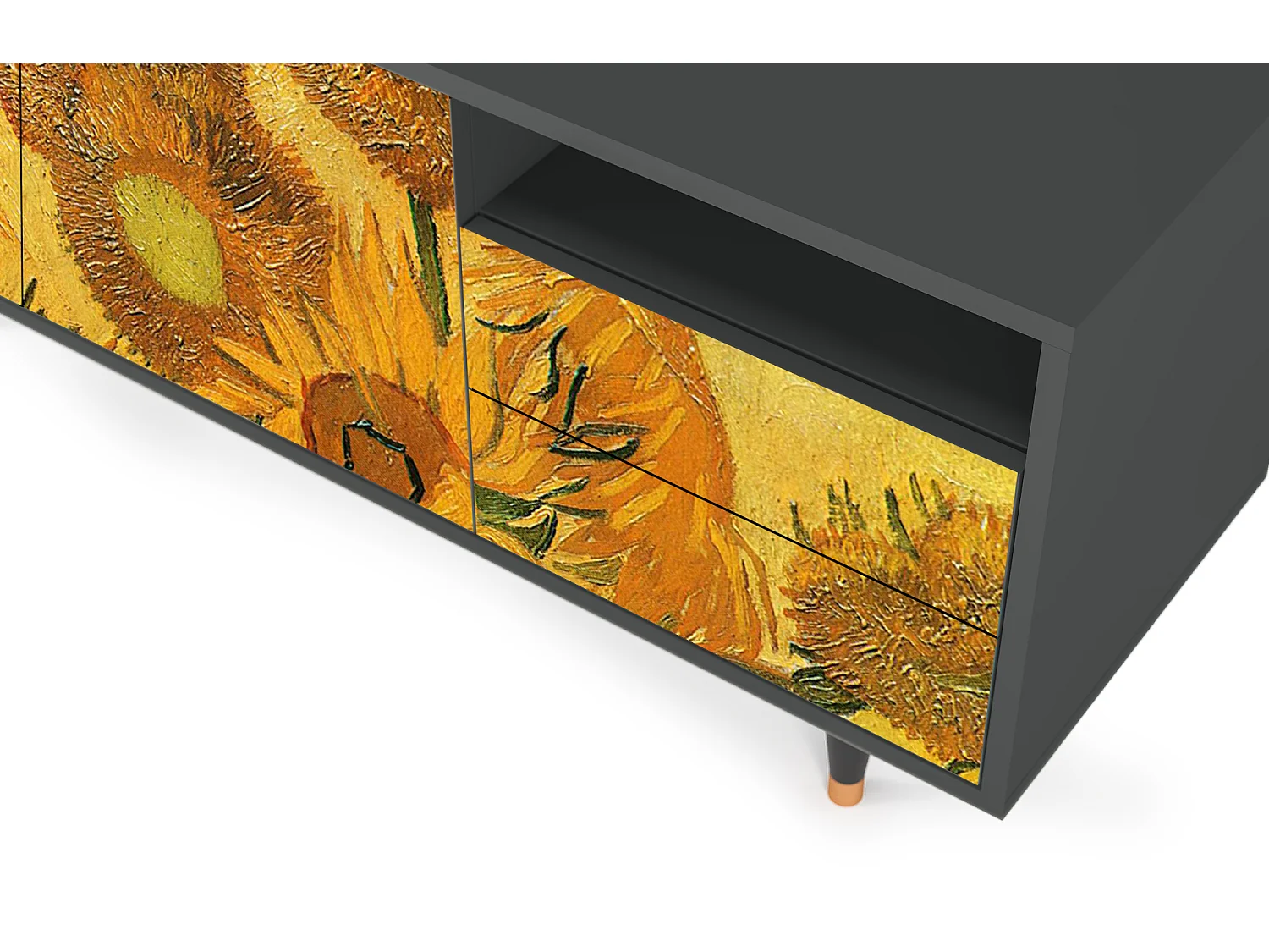 Szafka RTV - 125х56х41 cm - T7 - Sunflowers, Antracyt