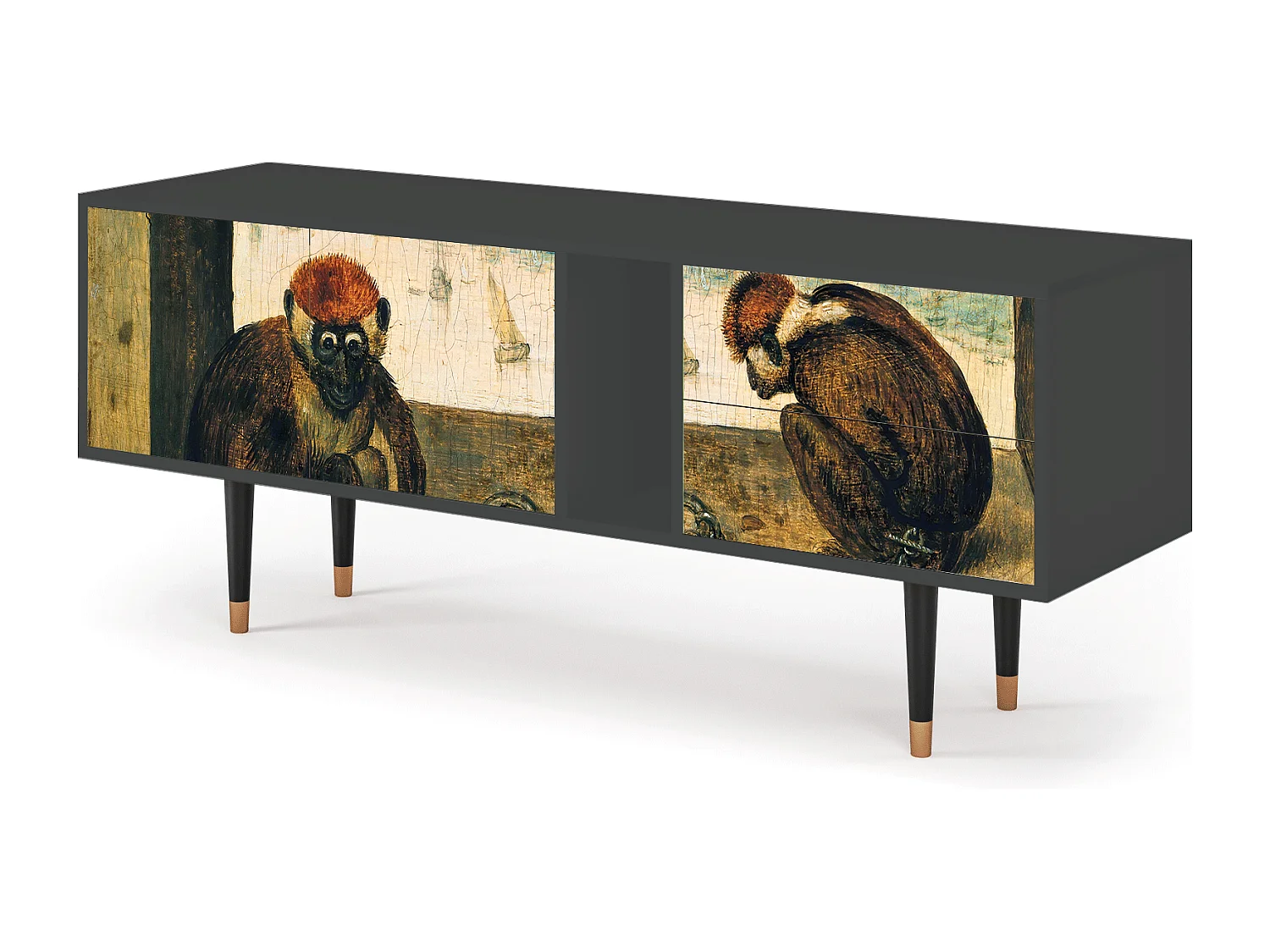 TV-Möbel - 170х69х48 cm - T1 - Two Monkeys, Anthrazit