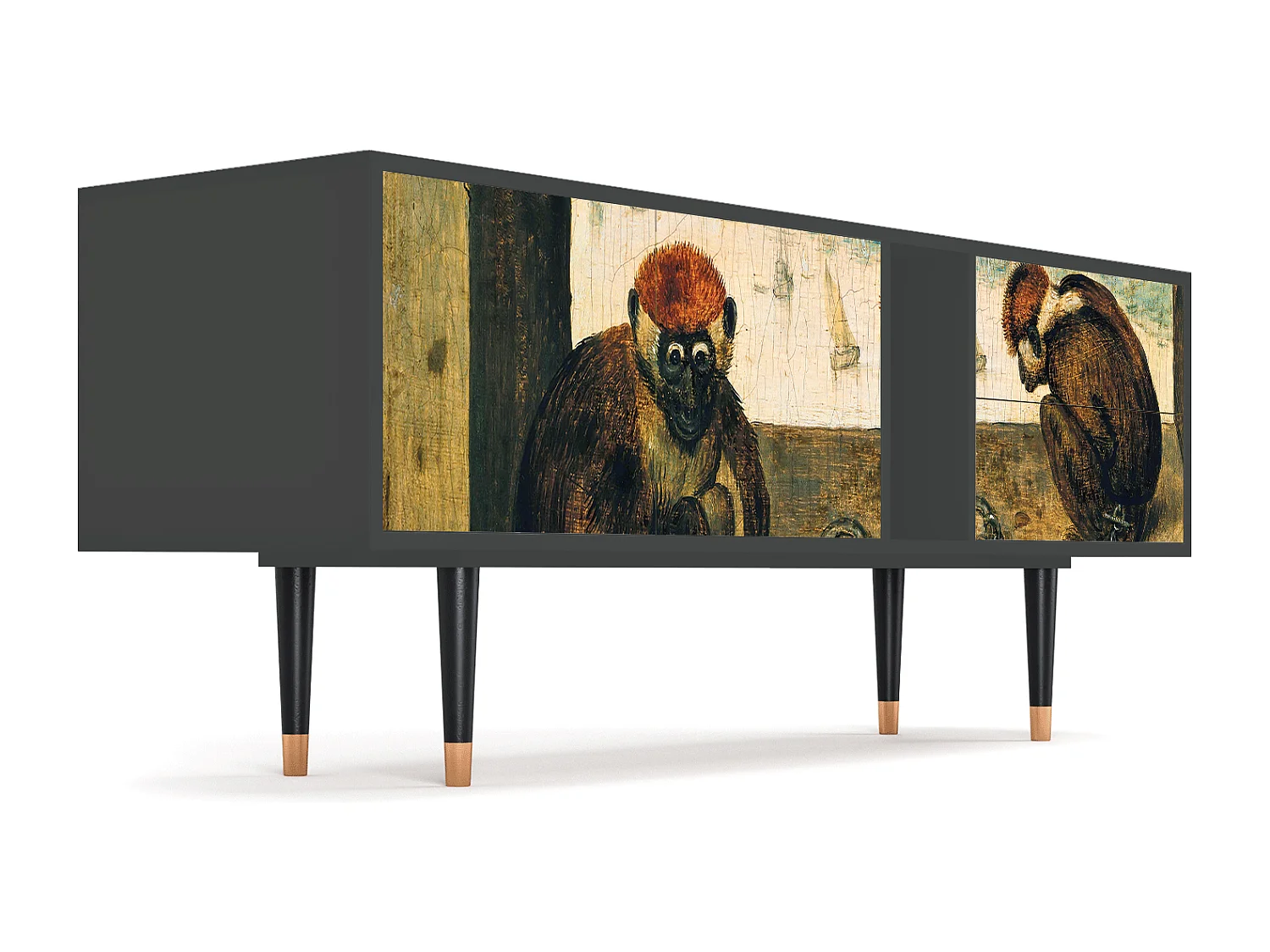 TV-Möbel - 170х69х48 cm - T1 - Two Monkeys, Anthrazit