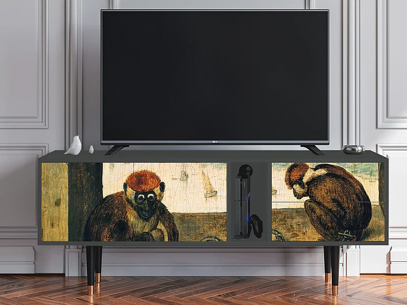 Szafka RTV - 170х69х48 cm - T1 - Two Monkeys, Antracyt