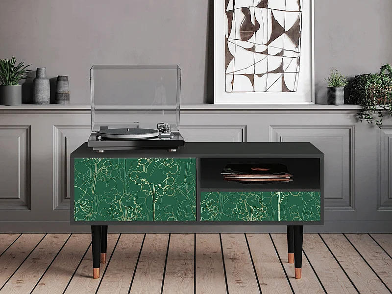 Mueble de TV - 115х59х48 cm - T3 - Emerald Forest, Antracite