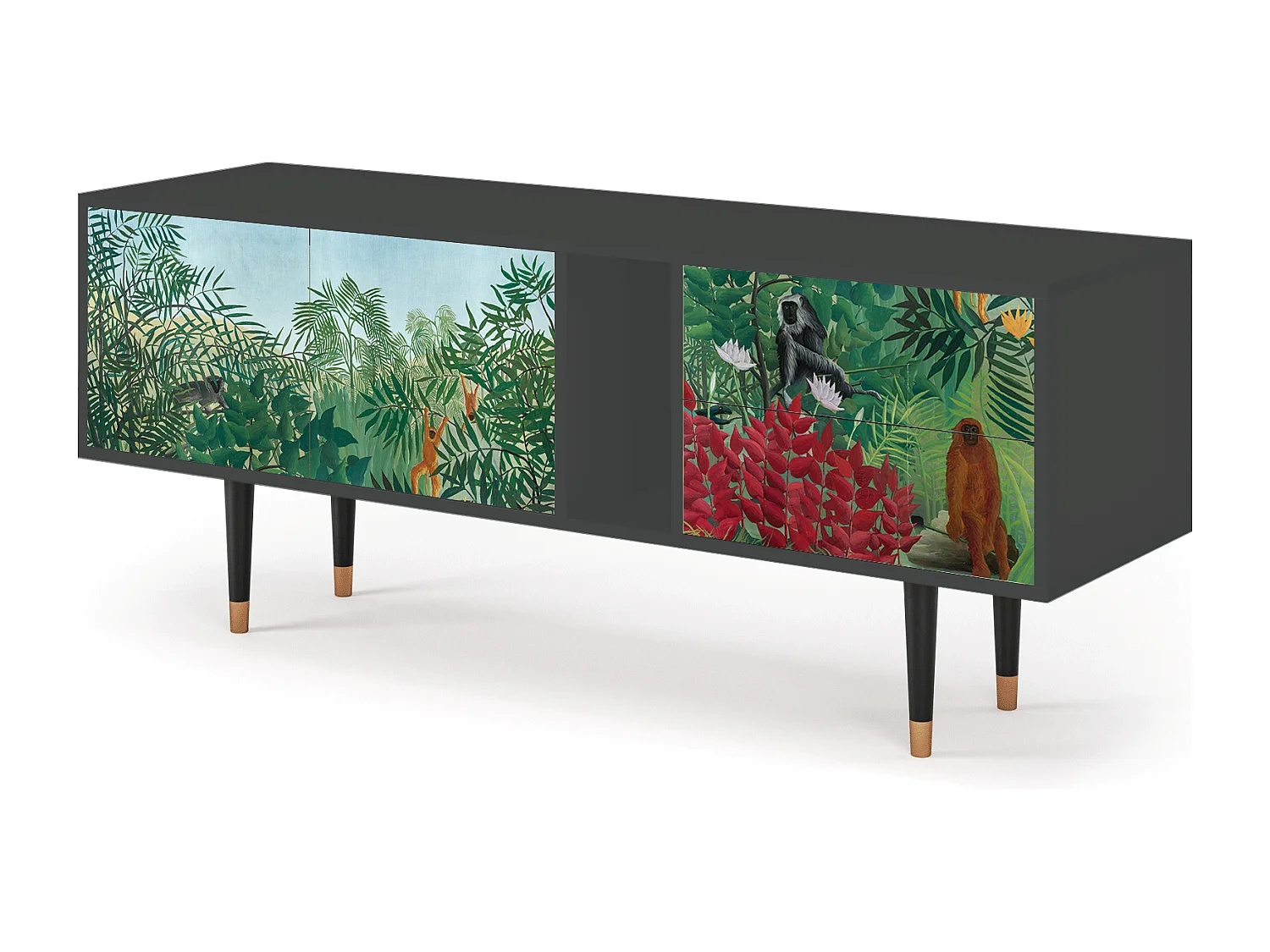 Mobile TV - 170х69х48 cm - T1 - Jungles in Paris, Antracite