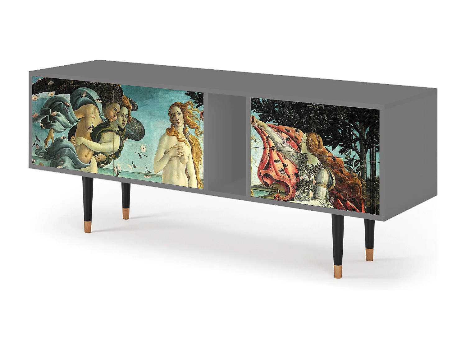 Szafka RTV - 170х69х48 cm - T1 - The Birth of Venus, Szary