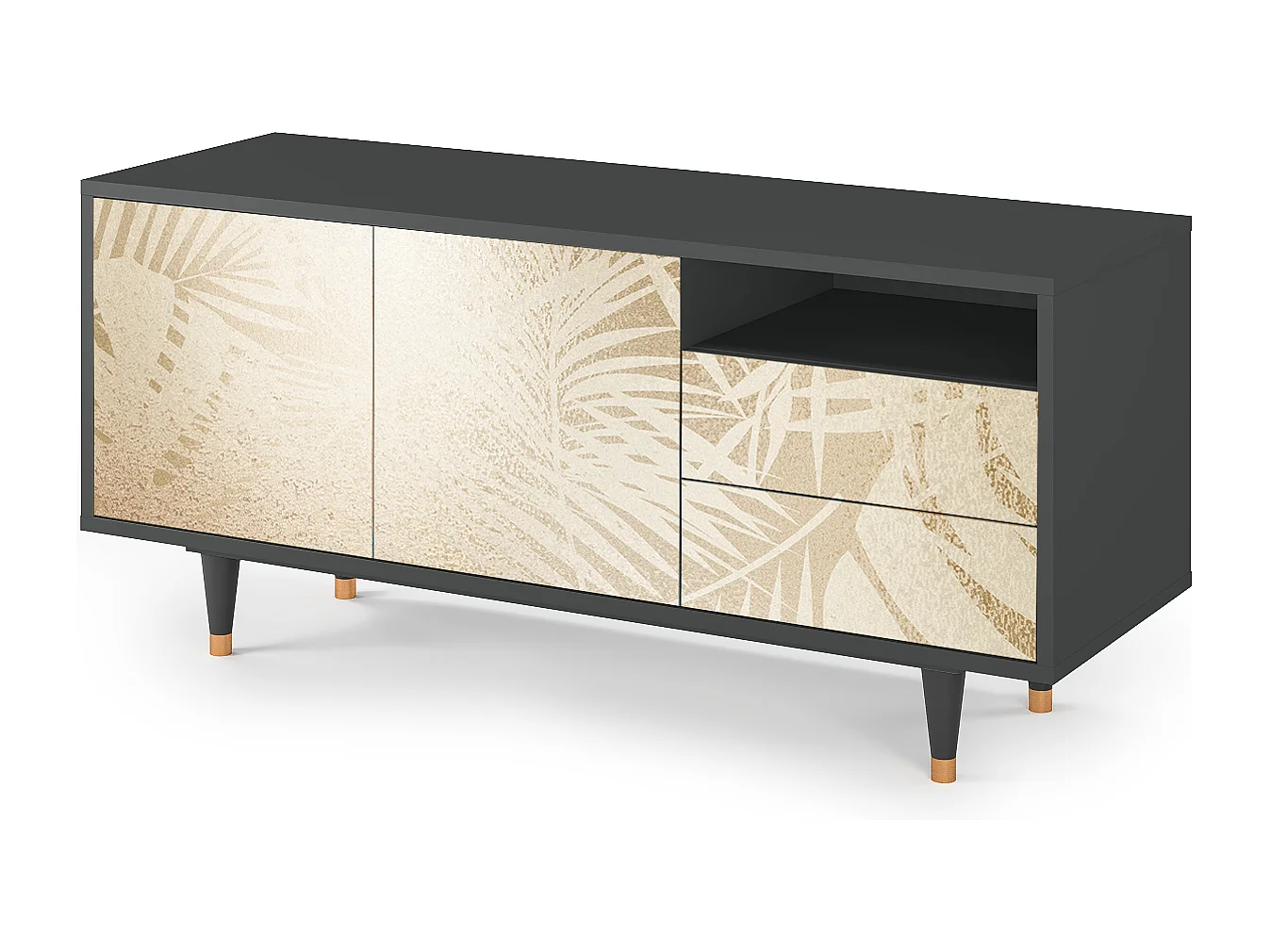 Meuble TV - 125х56х41 cm - T7 - Plant of the Dessert, Anthracite