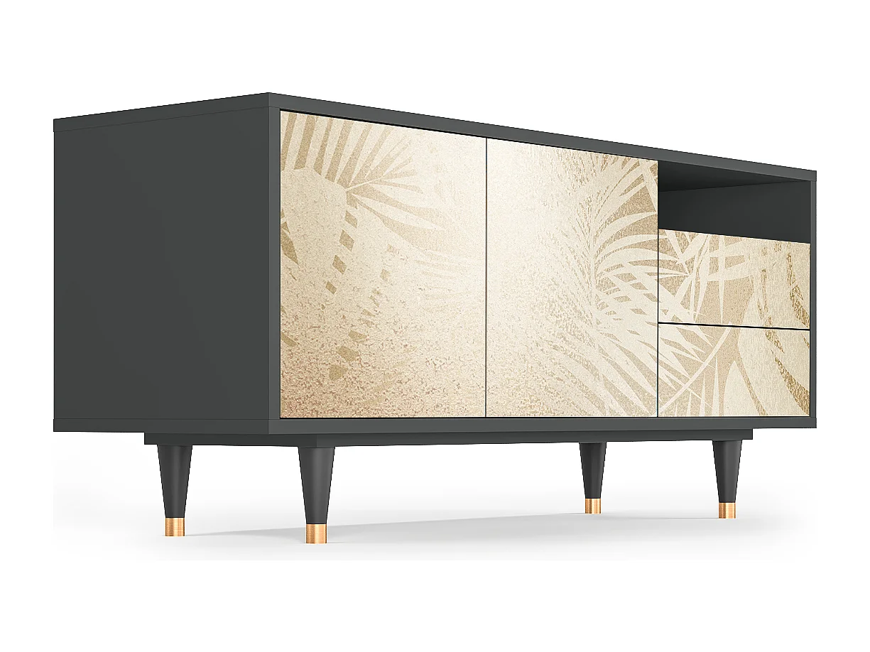 Meuble TV - 125х56х41 cm - T7 - Plant of the Dessert, Anthracite