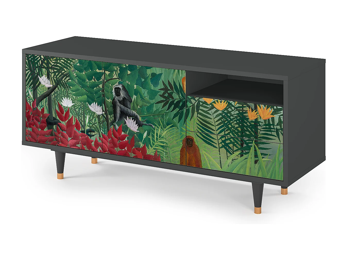 Meuble TV - 125х56х41 cm - T7 - Jungles in Paris, Anthracite