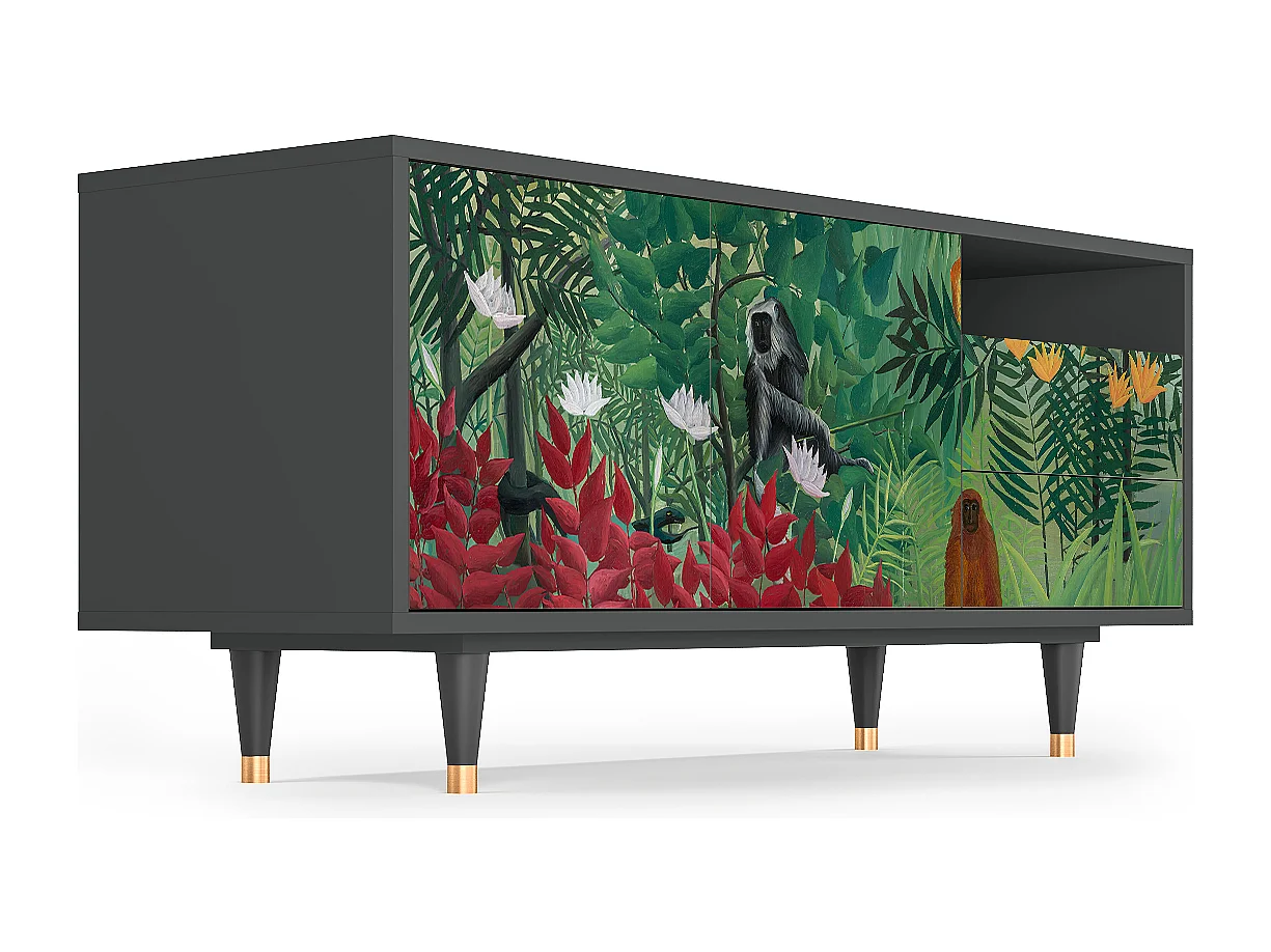 Meuble TV - 125х56х41 cm - T7 - Jungles in Paris, Anthracite