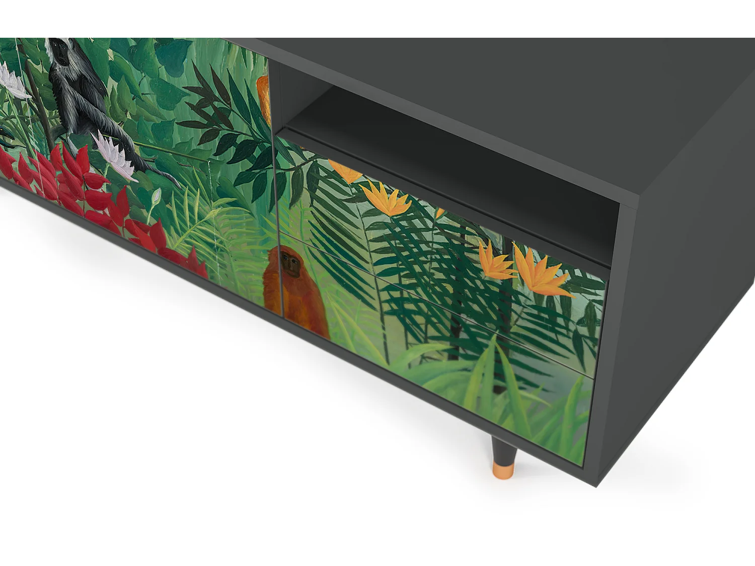 Meuble TV - 125х56х41 cm - T7 - Jungles in Paris, Anthracite