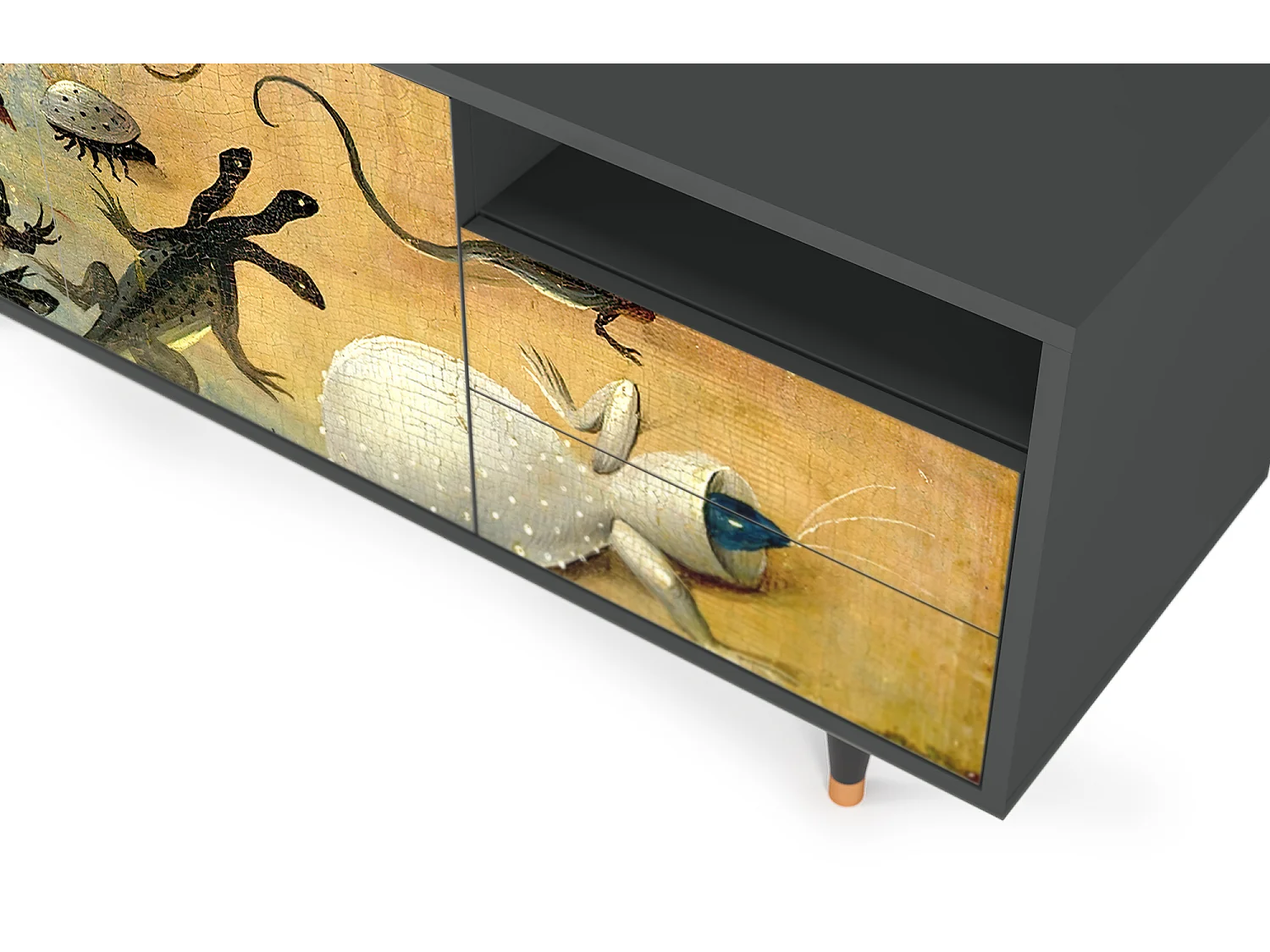 Szafka RTV - 125х56х41 cm - T7 - The Garden by Bosch, Antracyt