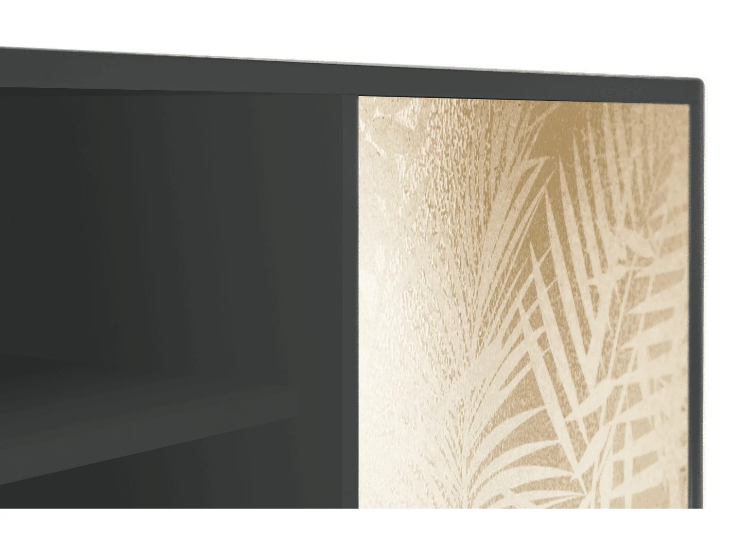 Meuble TV - 170х69х48 cm - T2 - Plant of the Dessert, Anthracite