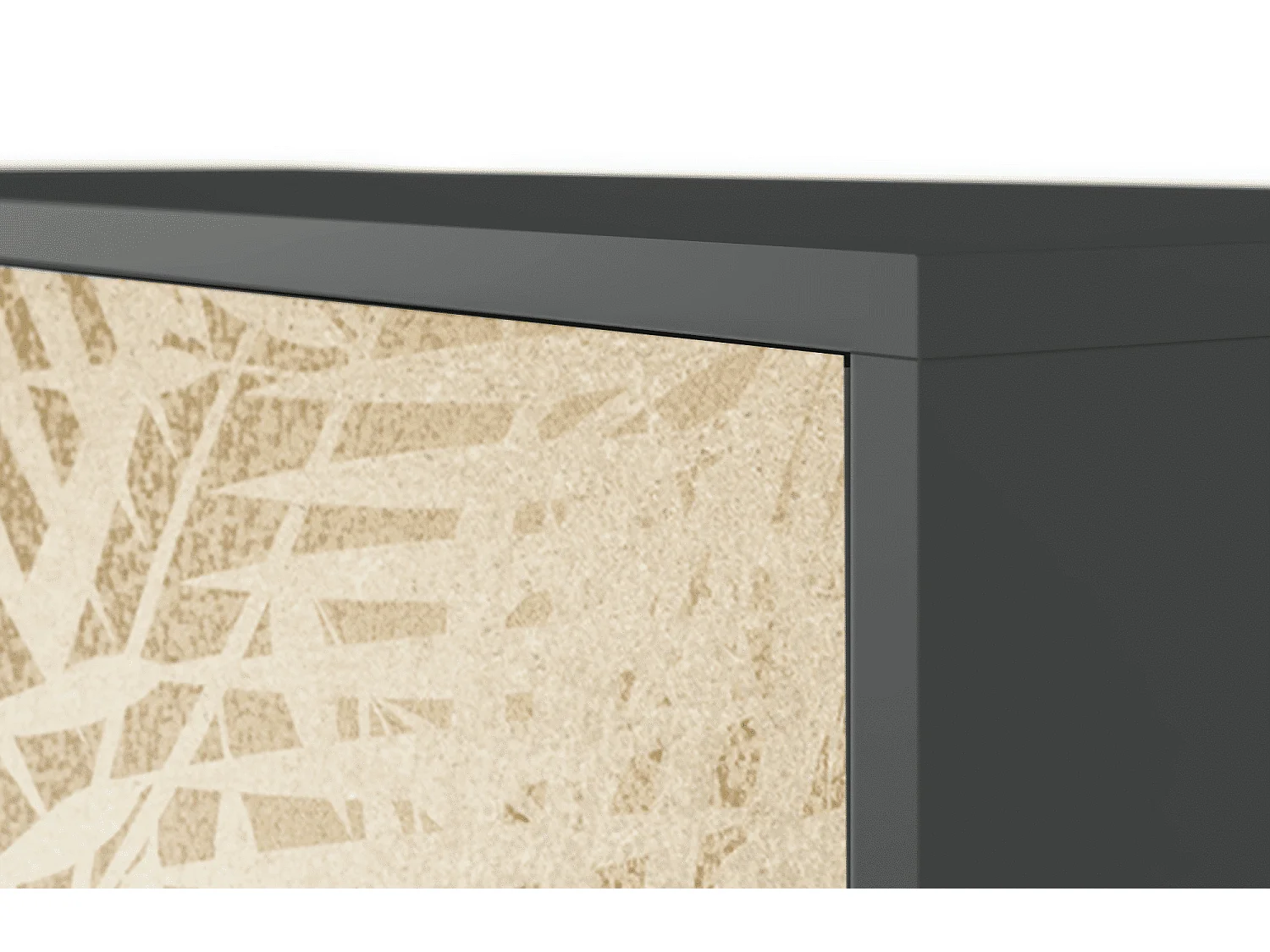 Dressoir - 115х84х41 cm - S3 - Plant of the Dessert, Antraciet