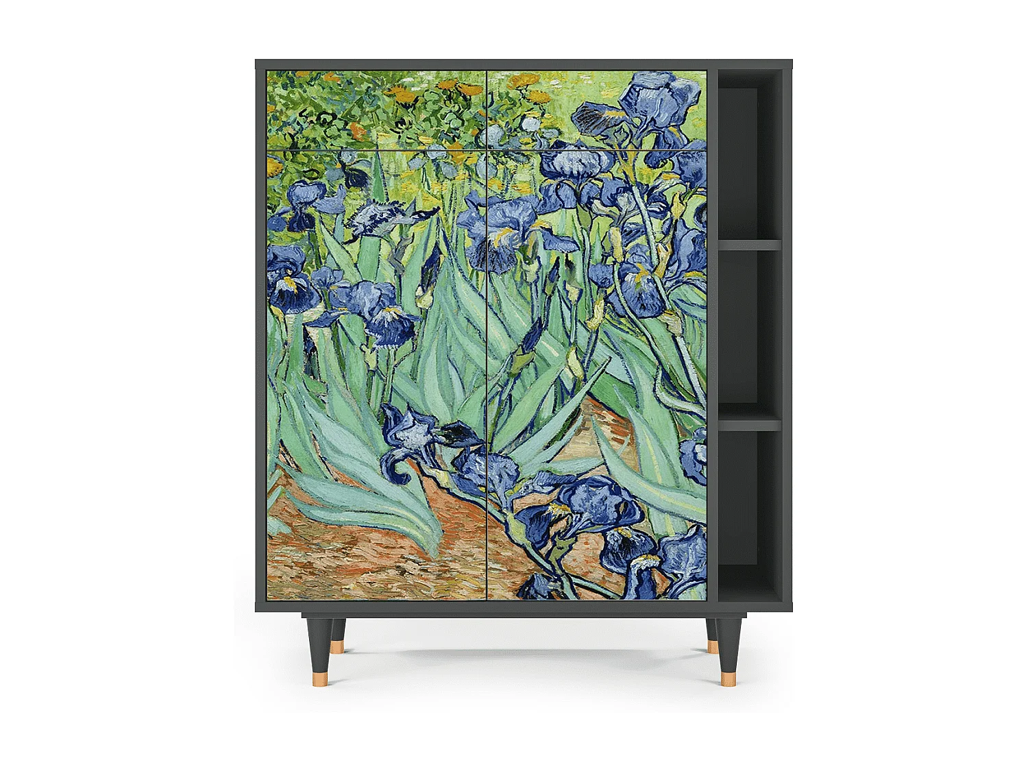 Kredens - 96х110х41 cm - BS6 - Irises , Antracyt