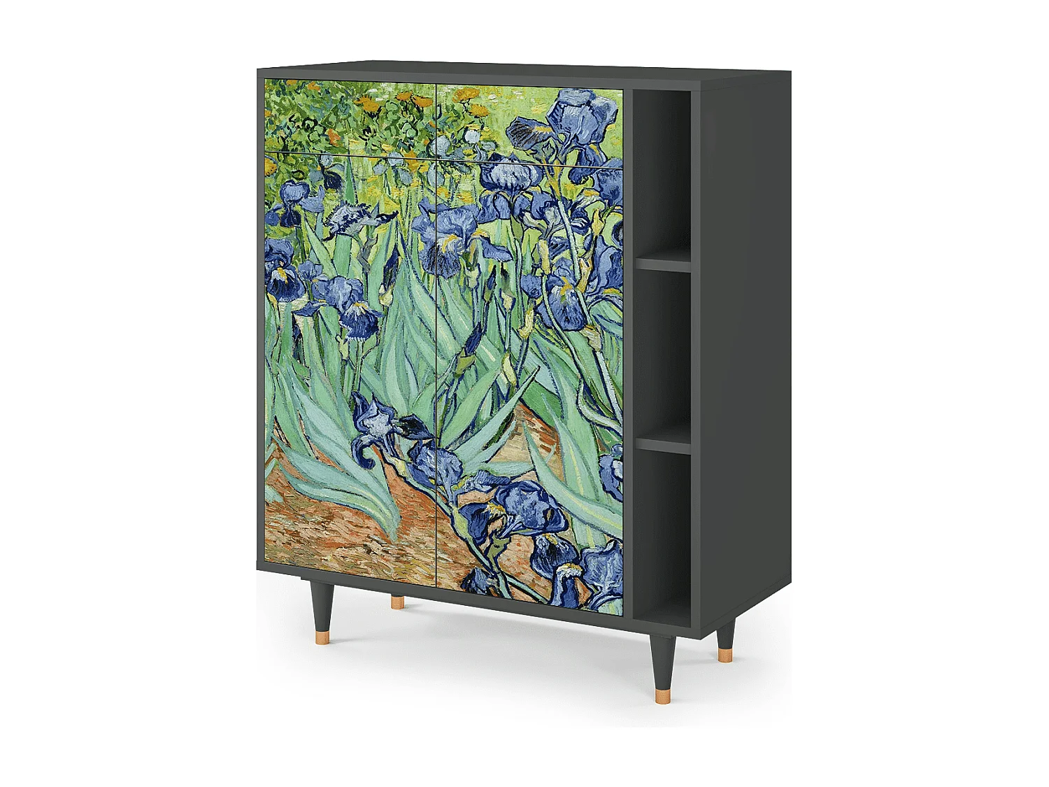 Credenza - 96х110х41 cm - BS6 - Irises , Antracite