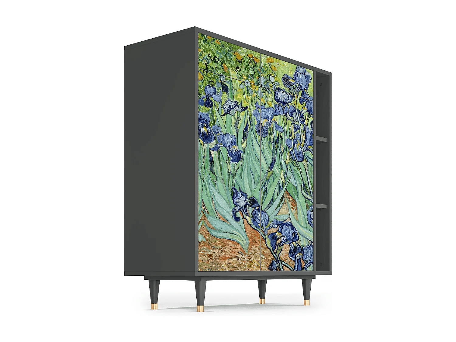 Credenza - 96х110х41 cm - BS6 - Irises , Antracite