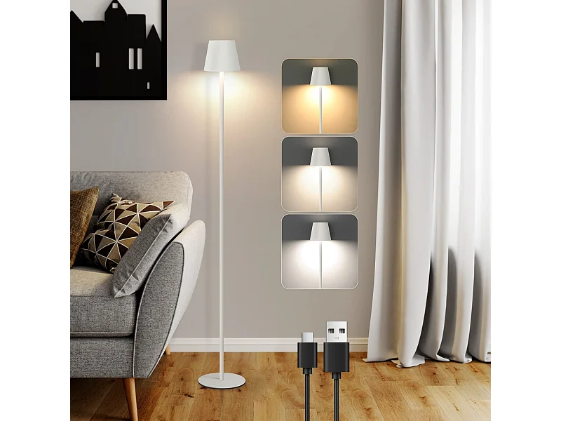 NETTLIFE LED Lampadaire Noir Moderne Dimmable 125cm 3 températures de couleur USB Salon