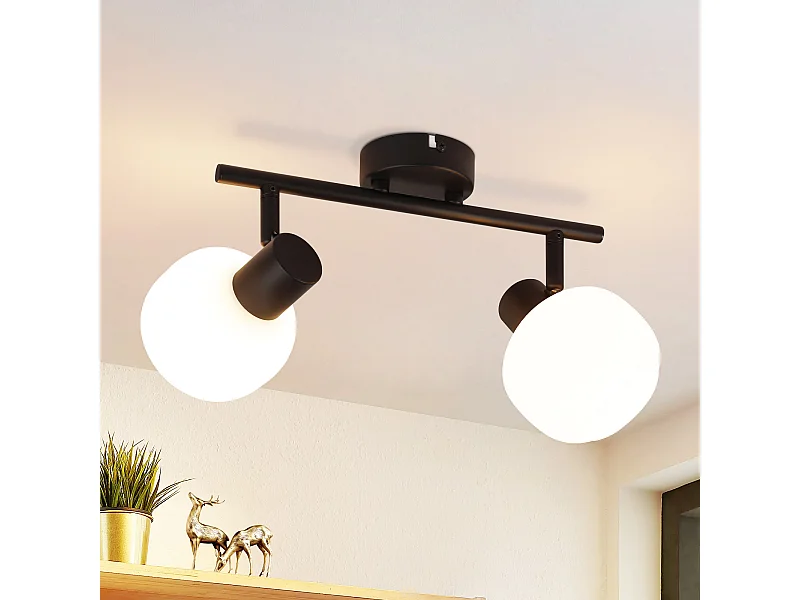 NETTLIFE Zwarte Plafondspot E14 Binnen Vintage Glazen Lampenkap Spot Light