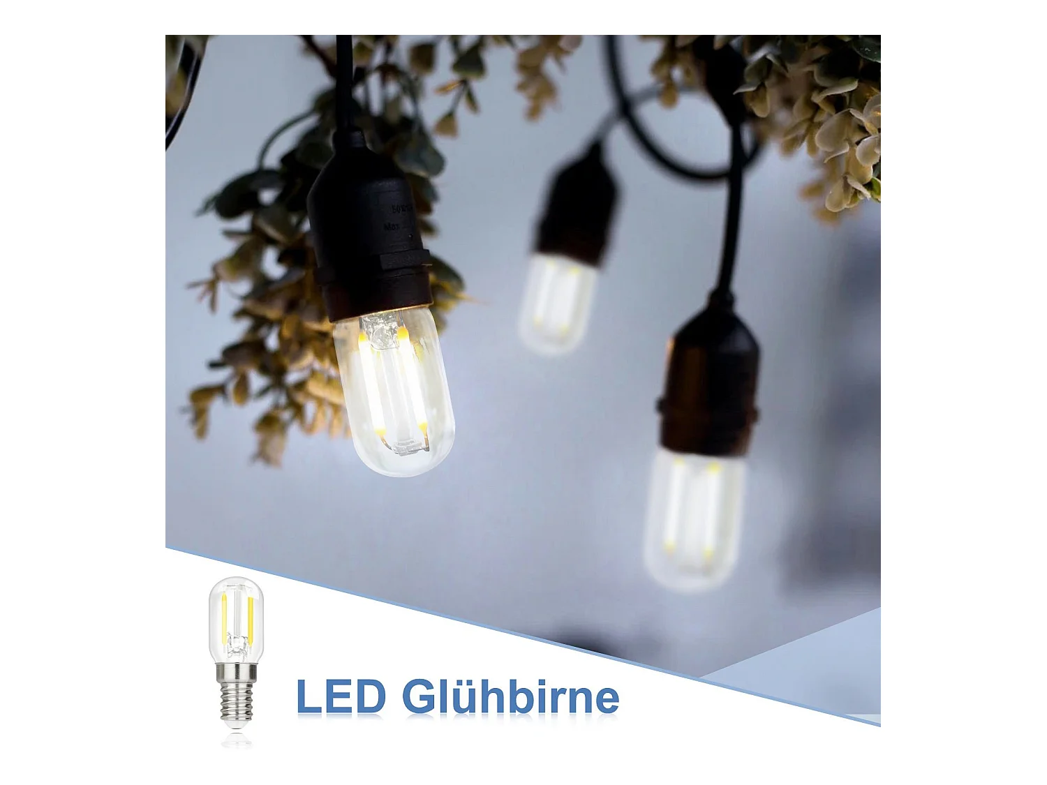 NETTLIFE LED-lampen E14 LED-lampen Vintage lampen T22 2W E14, 2 stuks, koel wit, 6000K