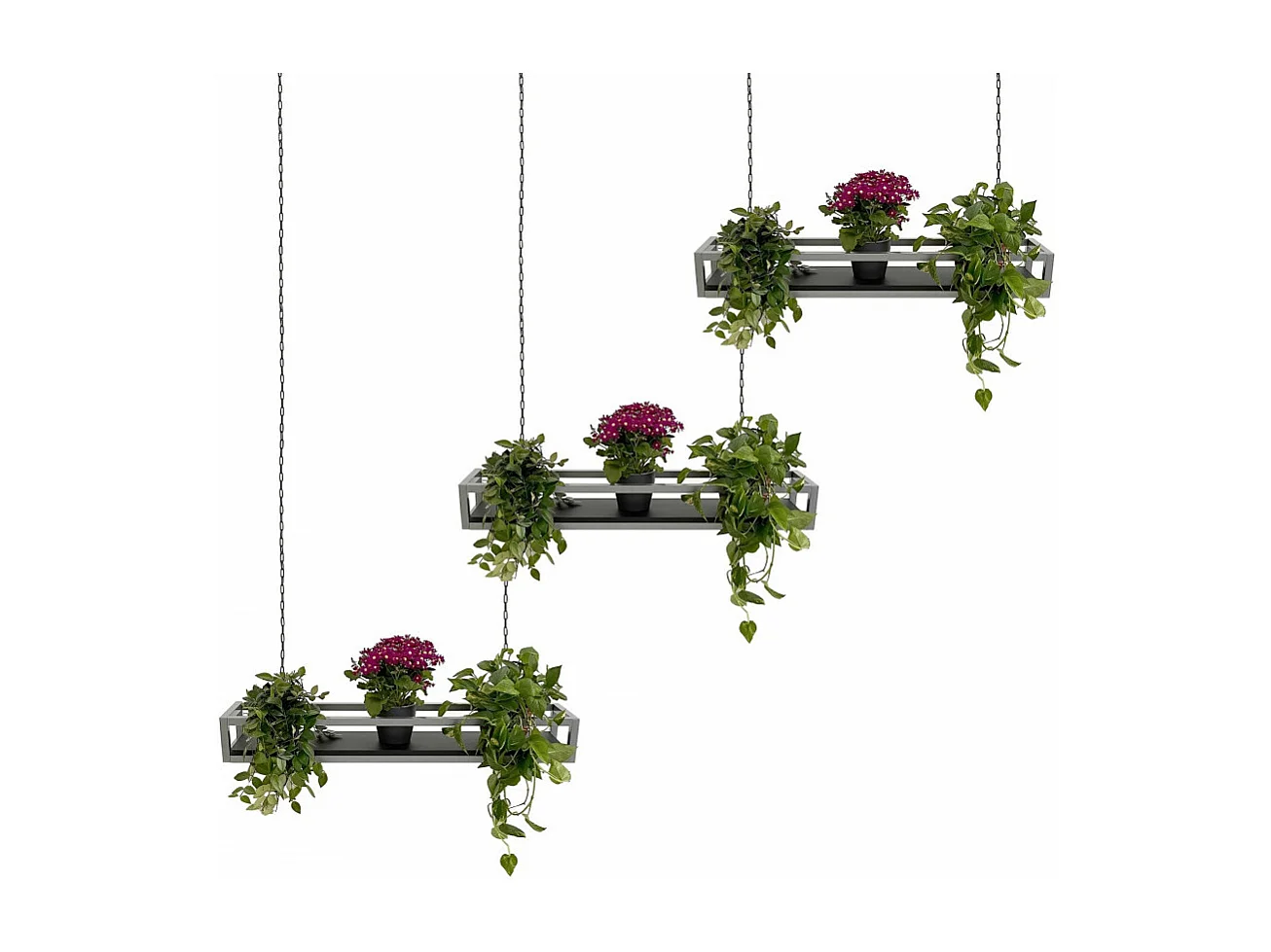 Etagère FLOWERS suspendue au plafond GRIS NOIR longueur 75 cm avec chaines pour jardin vertical fleurs par Yelloo