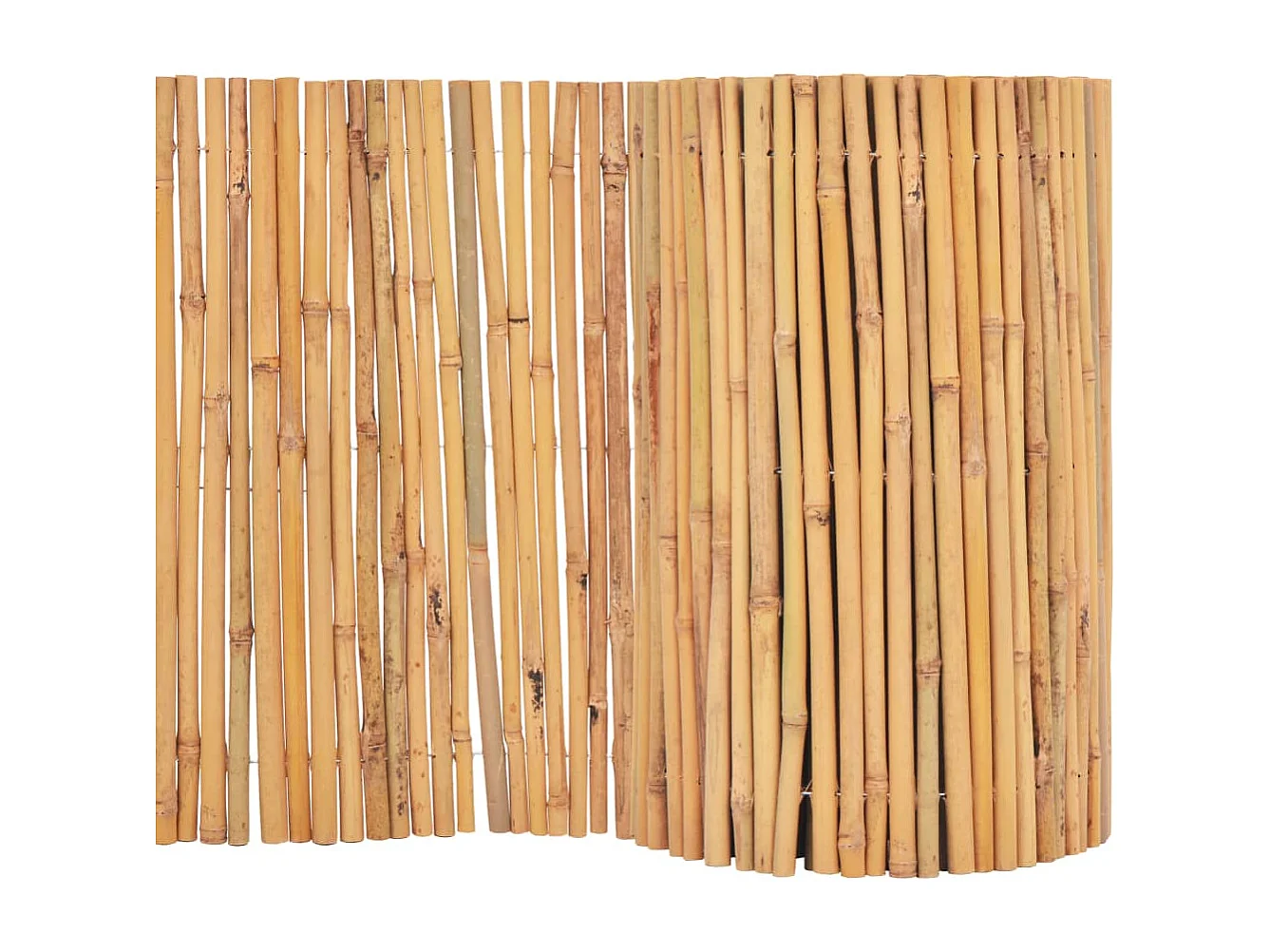 Cerca de bambu 500 x 30 cm