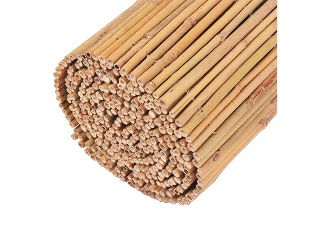 Cerca de bambu 500 x 30 cm