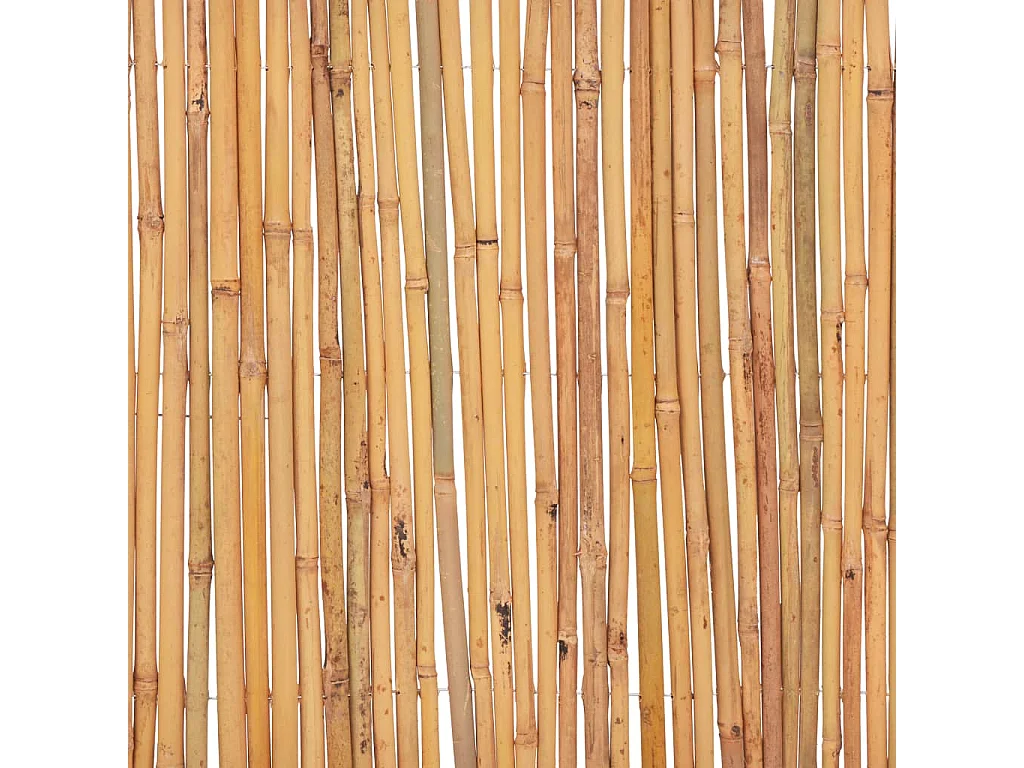 Cerca de bambu 500 x 30 cm