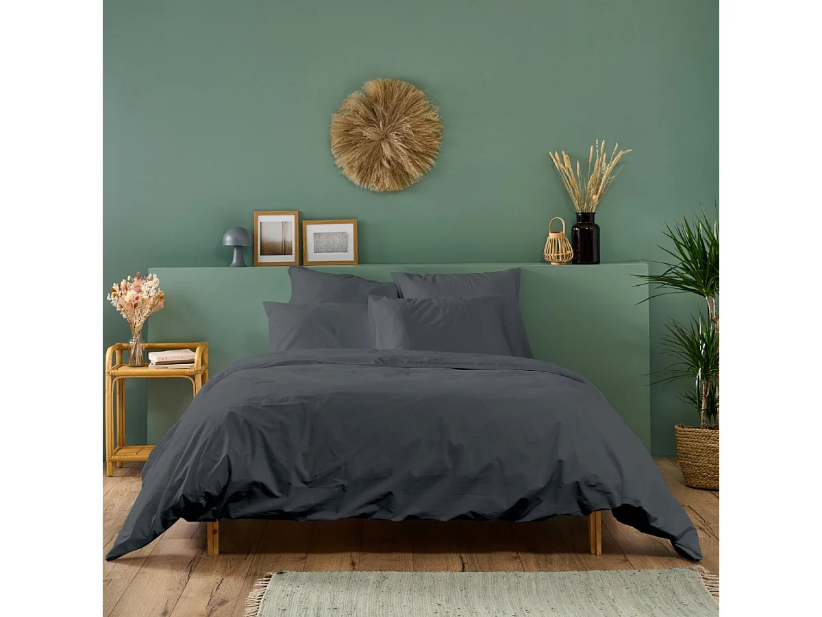 Parure de lit unie 2 personnes percale de coton : Housse 240x260cm+ 2 taie 65x65cm- Anthracite
