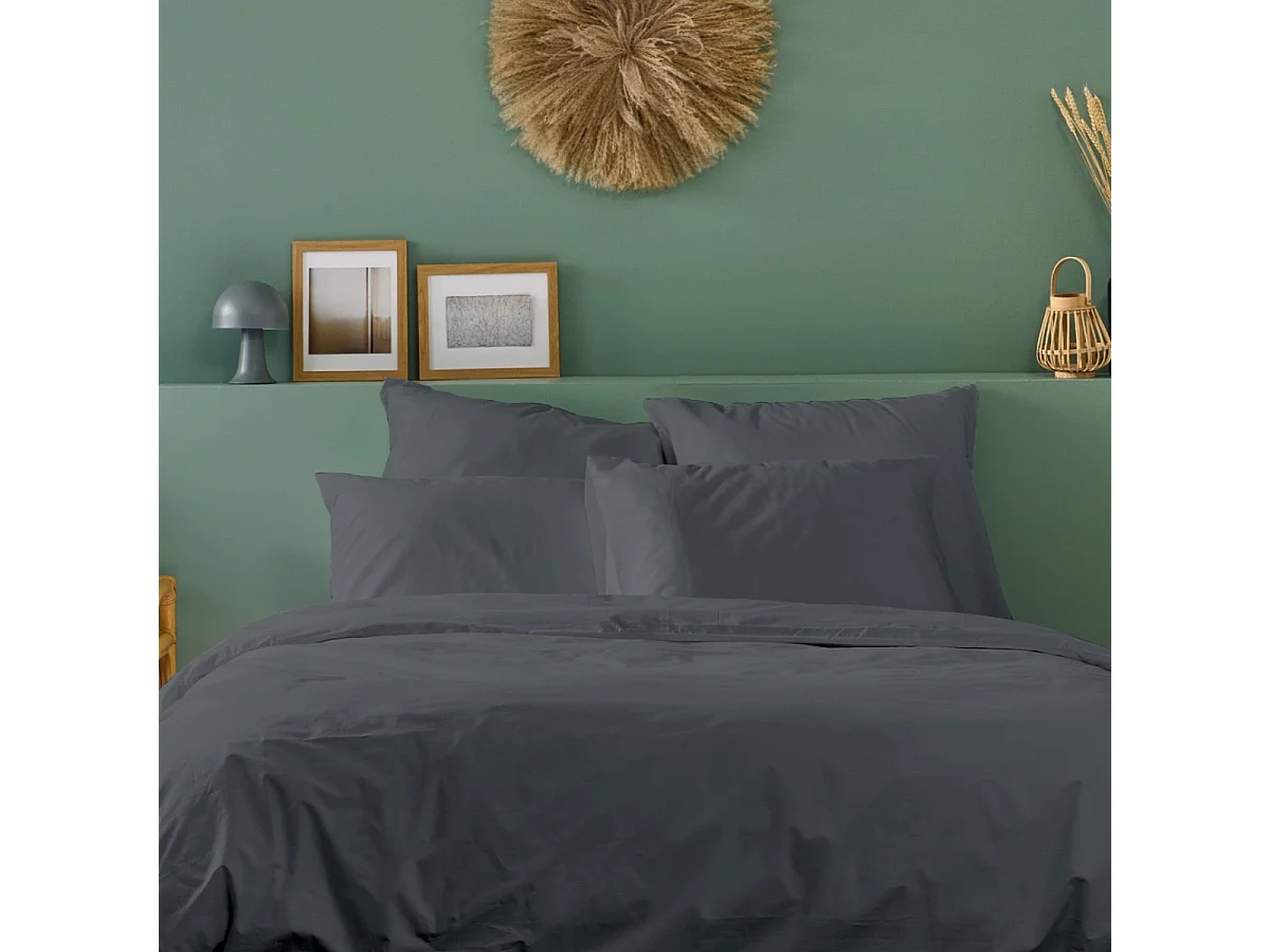 Parure de lit unie 2 personnes percale de coton : Housse 240x260cm+ 2 taie 65x65cm- Anthracite
