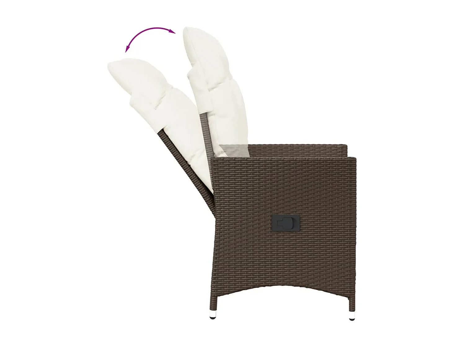 Tuinstoelen set van 2 met bruine rotan kussens