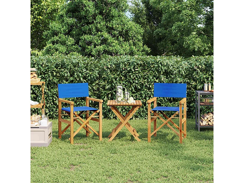 Sedie da regista pieghevoli Set di 2 in legno massello di teak